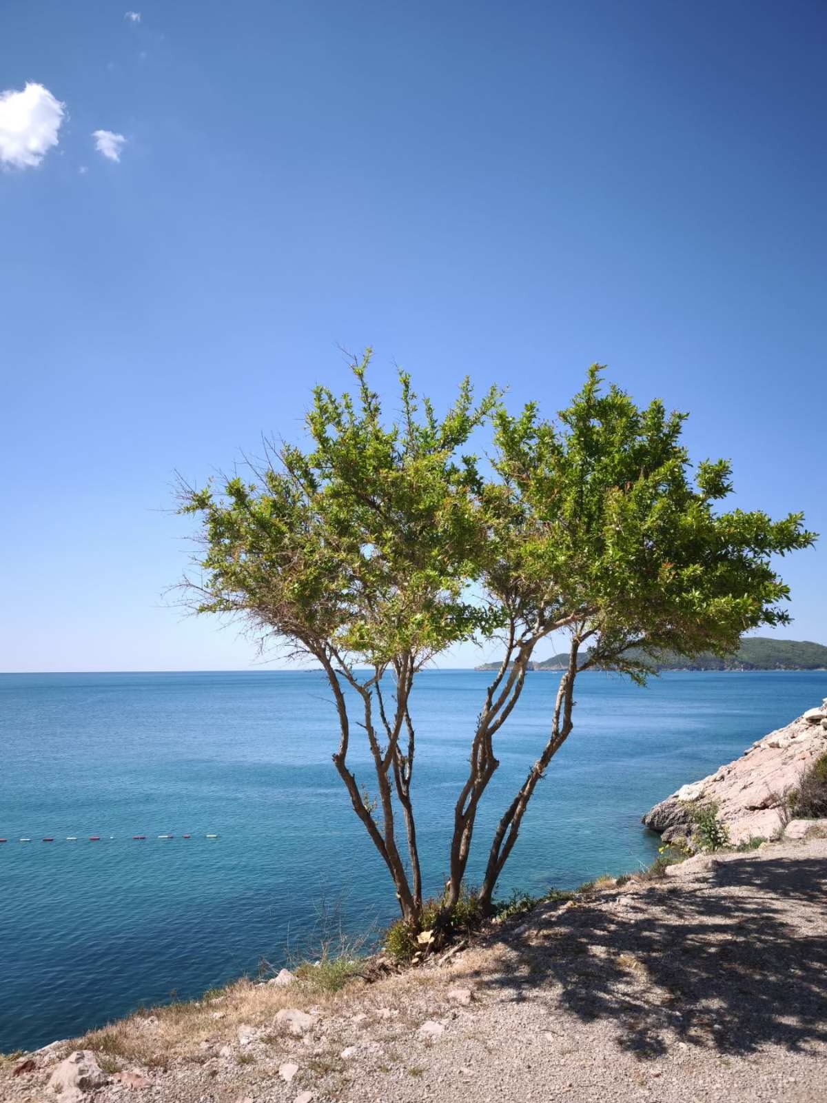 Walk along the Rafailovići coast